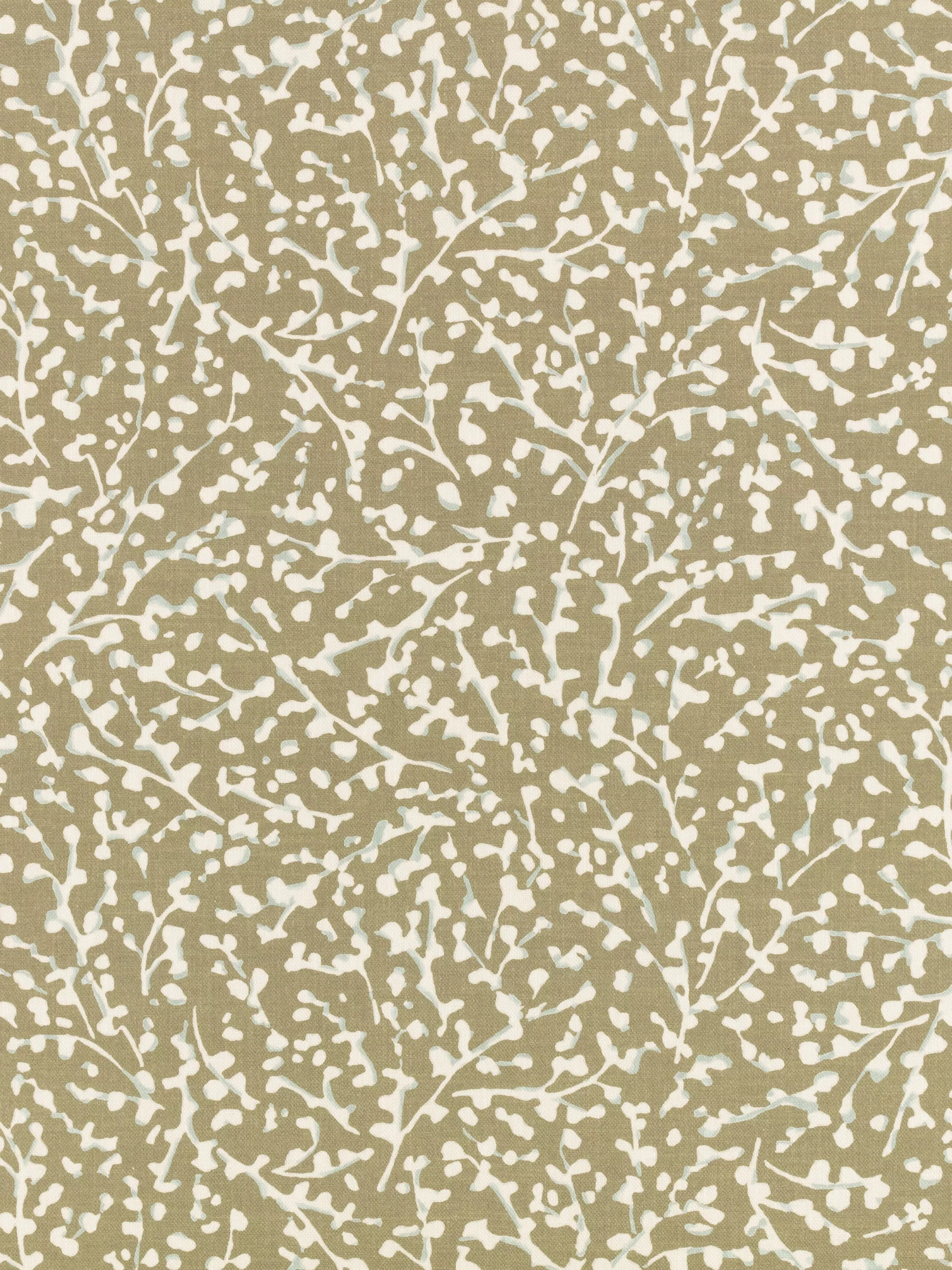 Caper  - Out of stock