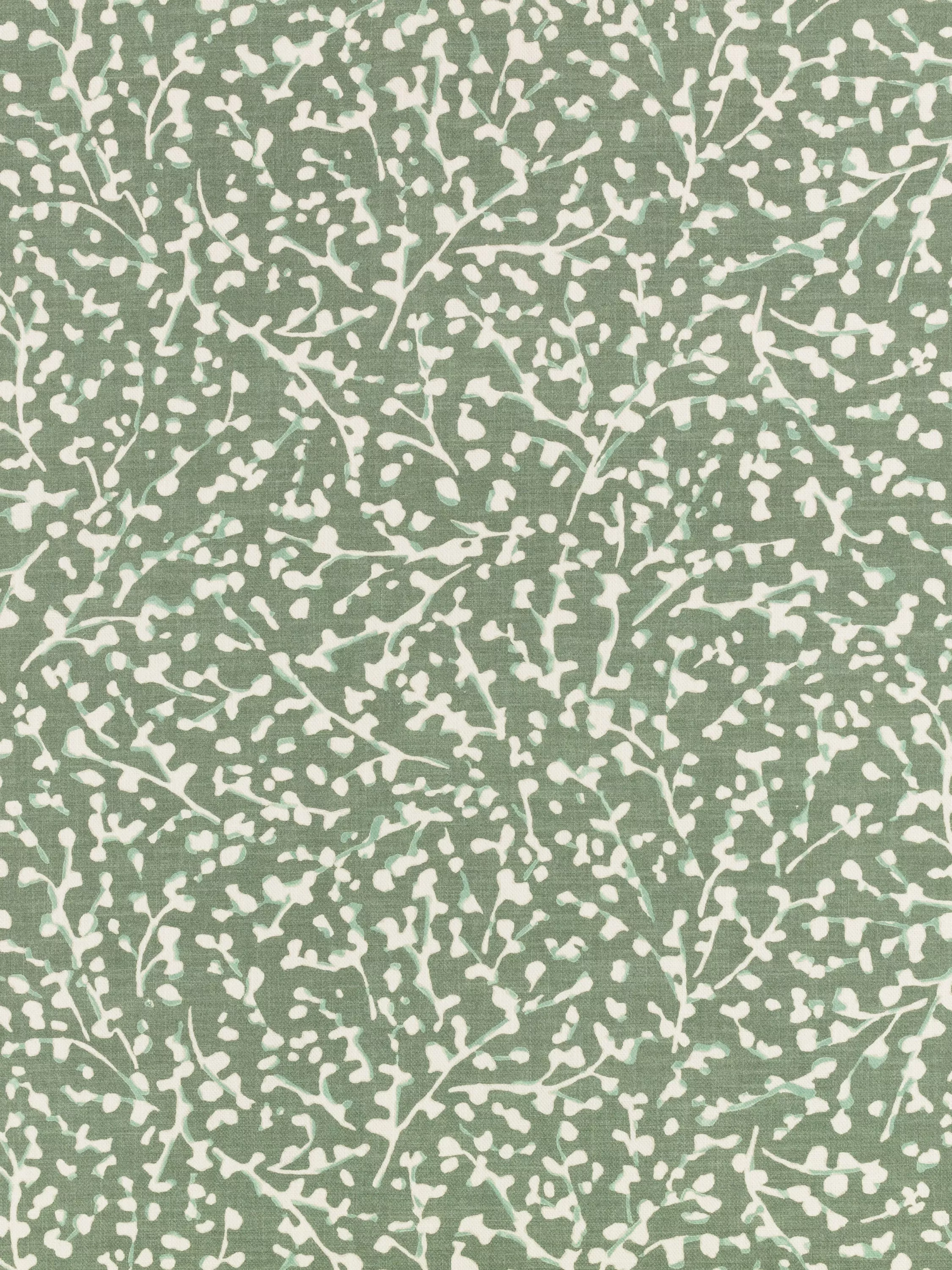 Dill  - Out of stock