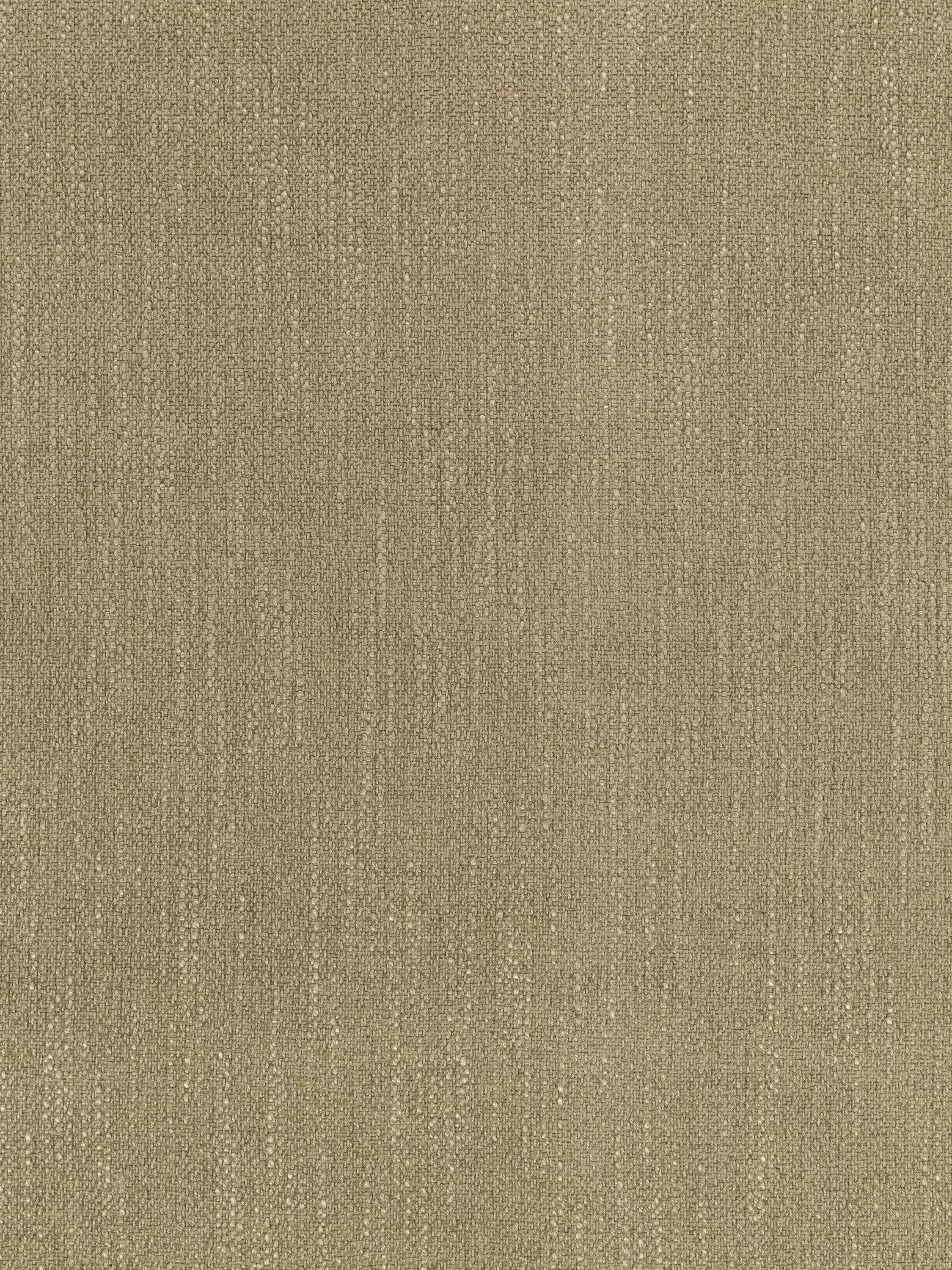 Caper  - Out of stock