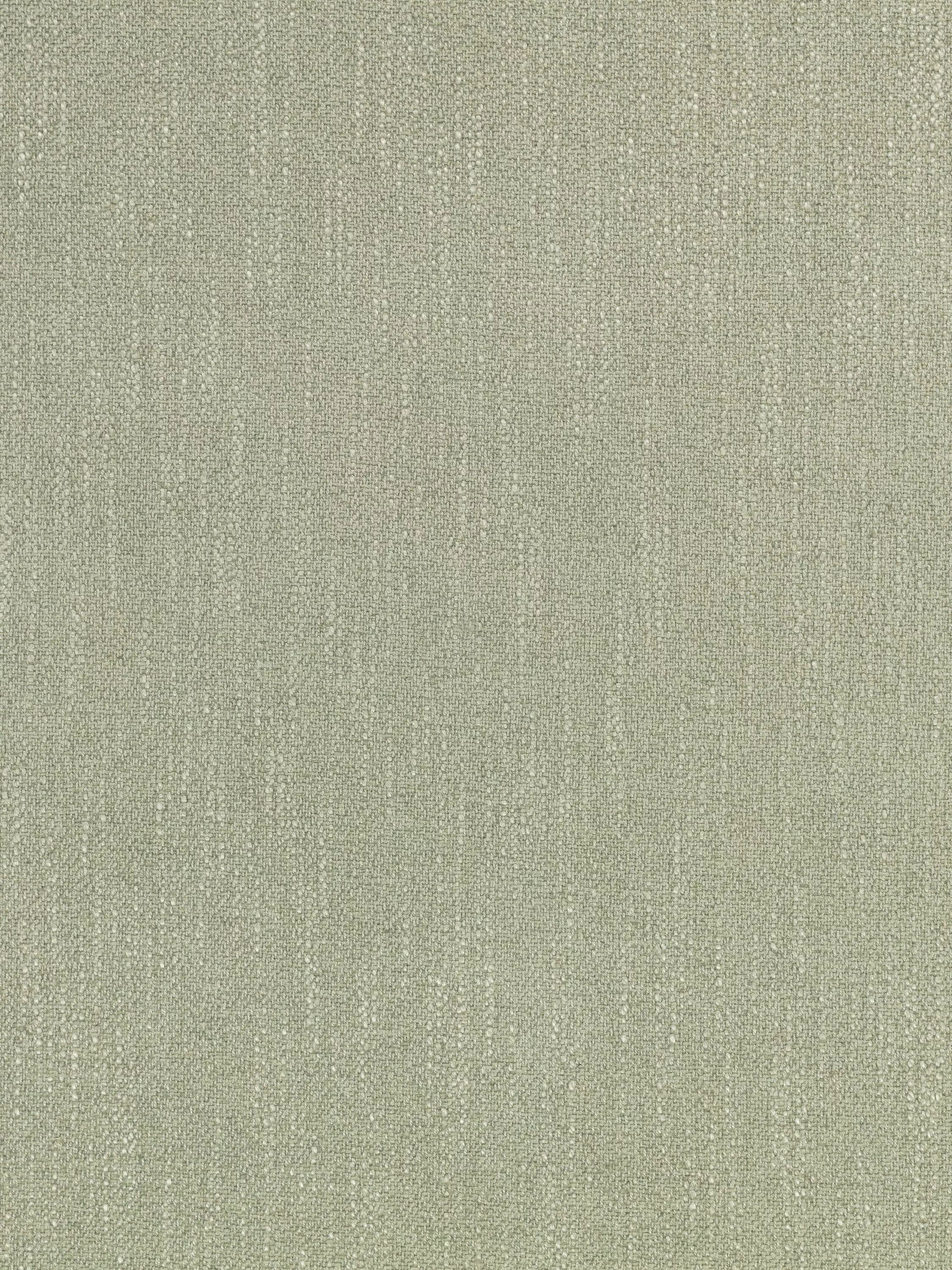 Lichen  - Out of stock