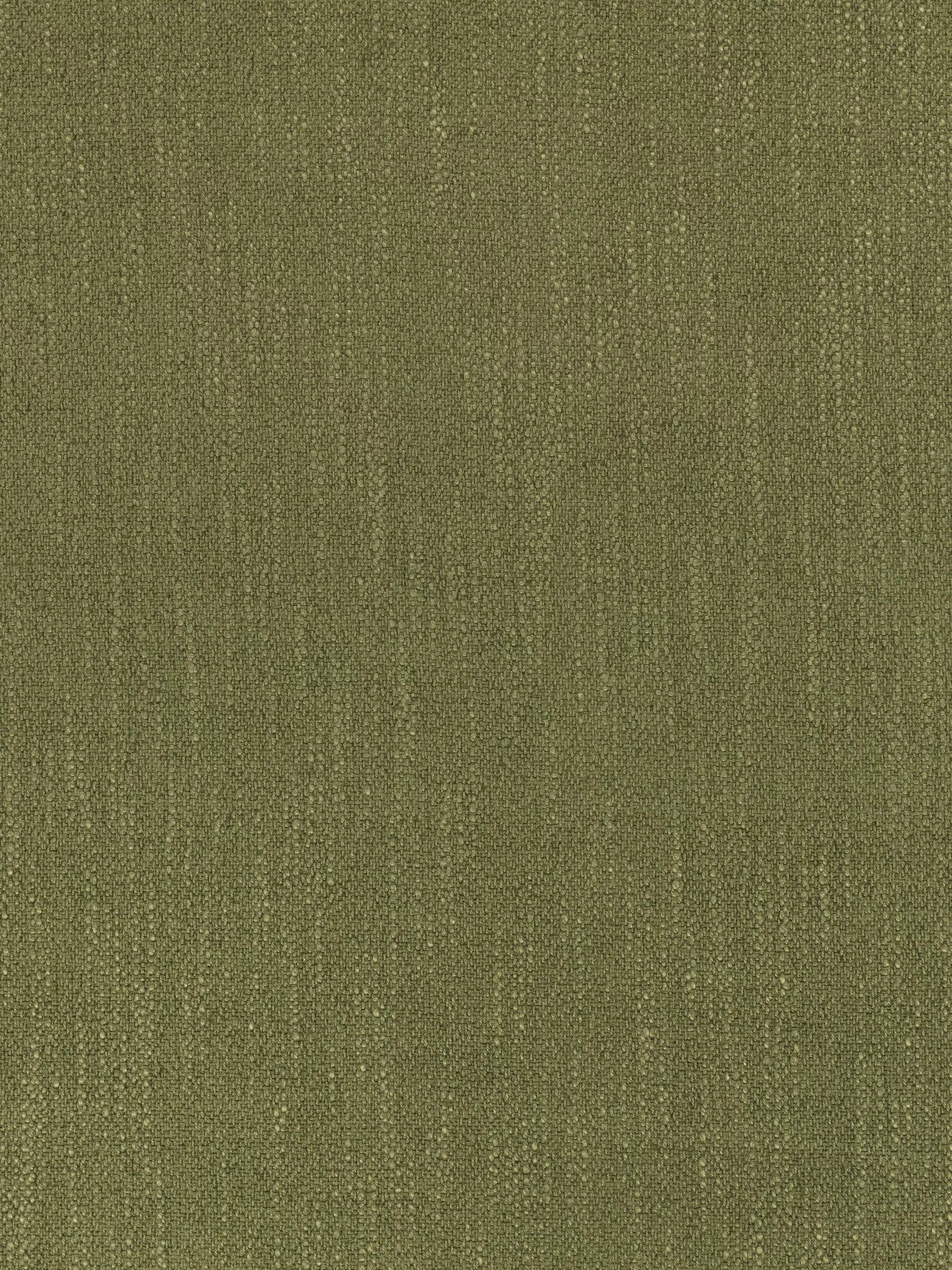 Tarragon  - Out of stock