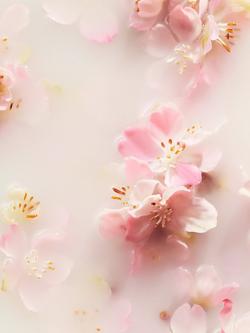 Rituals The Ritual of Sakura Whipped Body Cream, 220ml - view 2, 