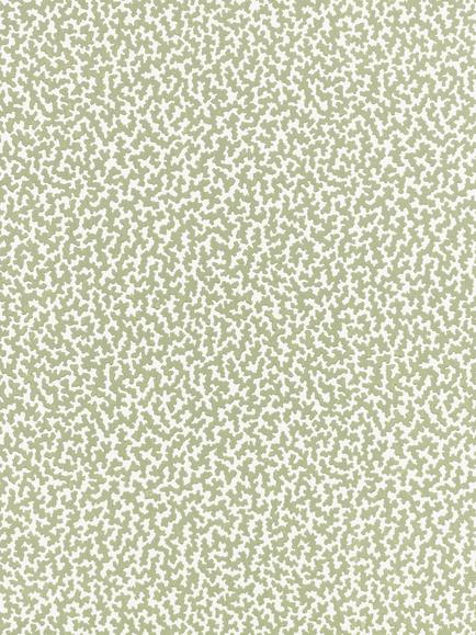 Romo Junie Wallpaper, Aloe