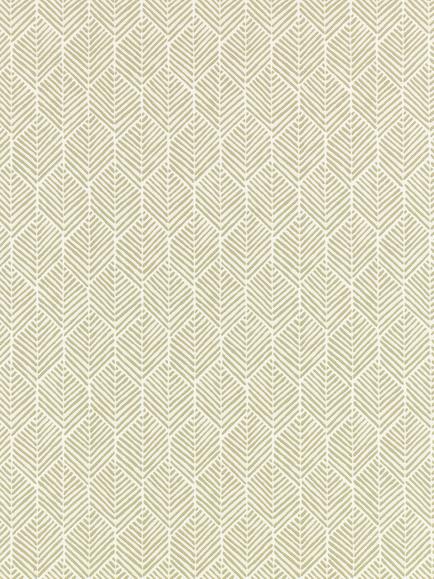 Romo Remi Wallpaper, Caper