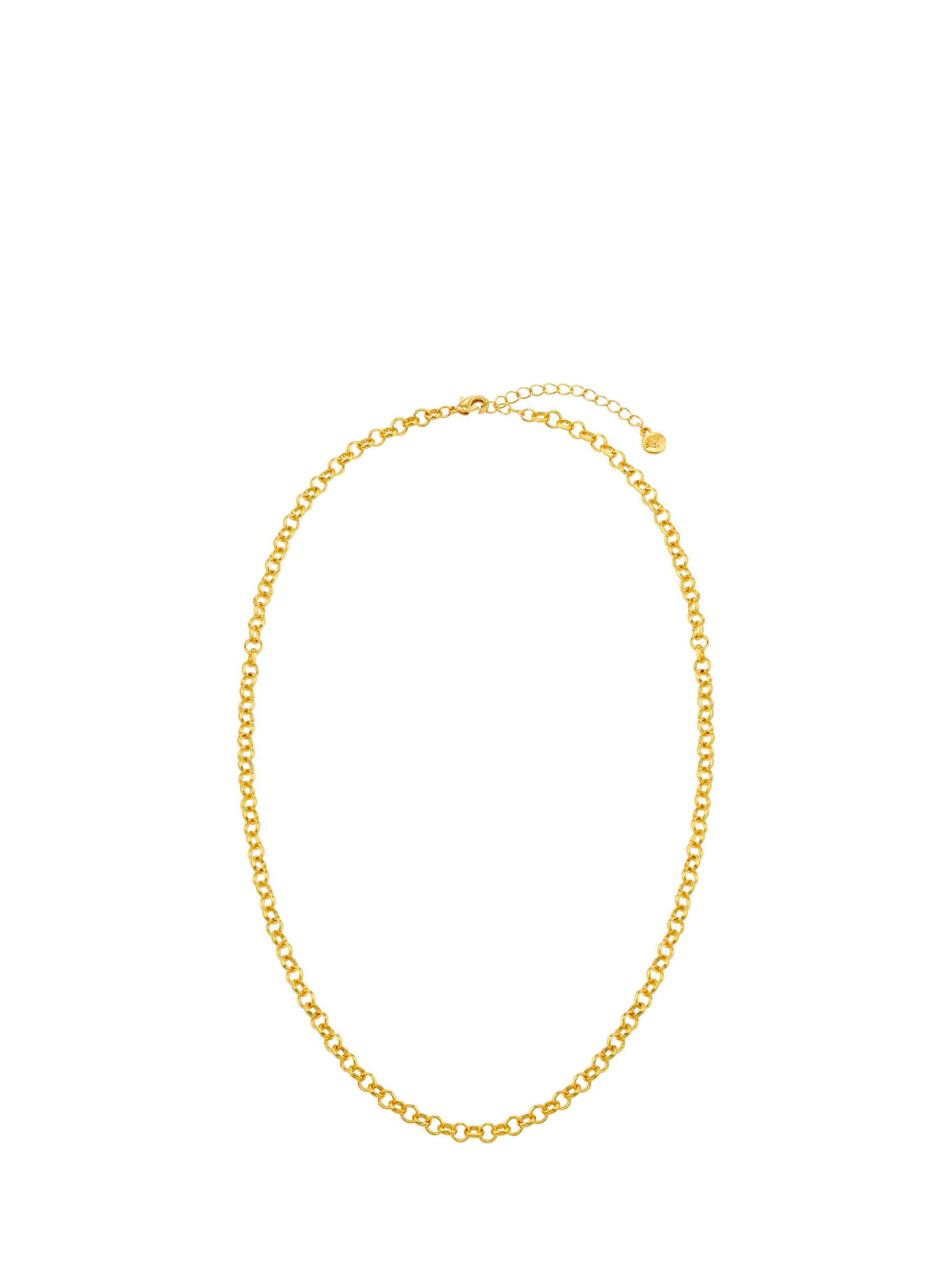 Orelia Belcher Chain Necklace, Pale Gold