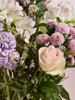 John Lewis Pastel Letterbox Flowers - view 2, Blue Royal