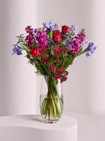 John Lewis Purple & Cerise Letterbox Flowers, Blue Royal