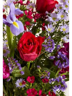 John Lewis Purple & Cerise Letterbox Flowers - view 2, Blue Royal