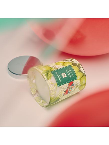Jo Malone London Elderflower & Gooseberry Classic Charity Candle, 200g - view 2, 