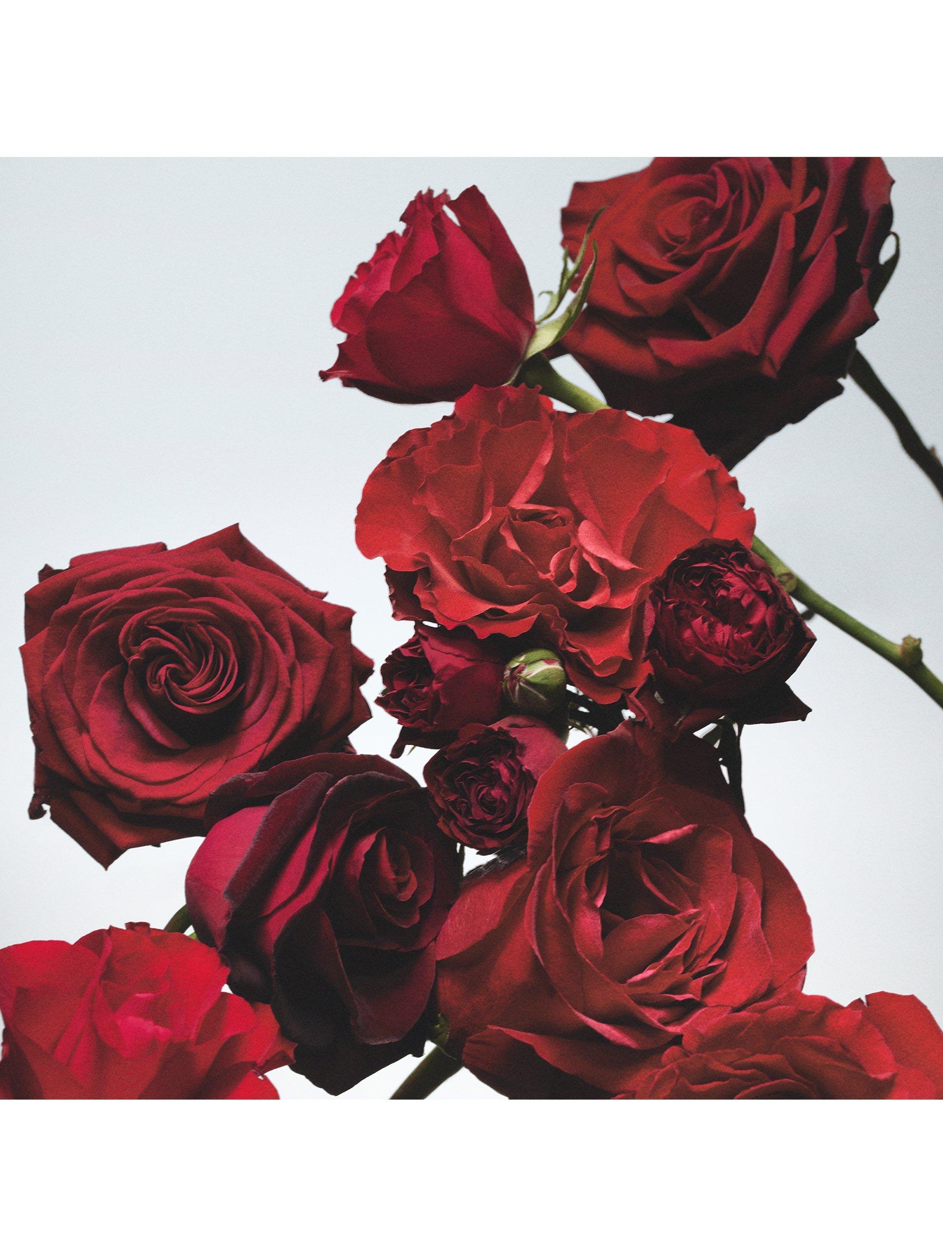 Product image 4 of 5, which shows Jo Malone London Red Roses Bath Oil, 250ml