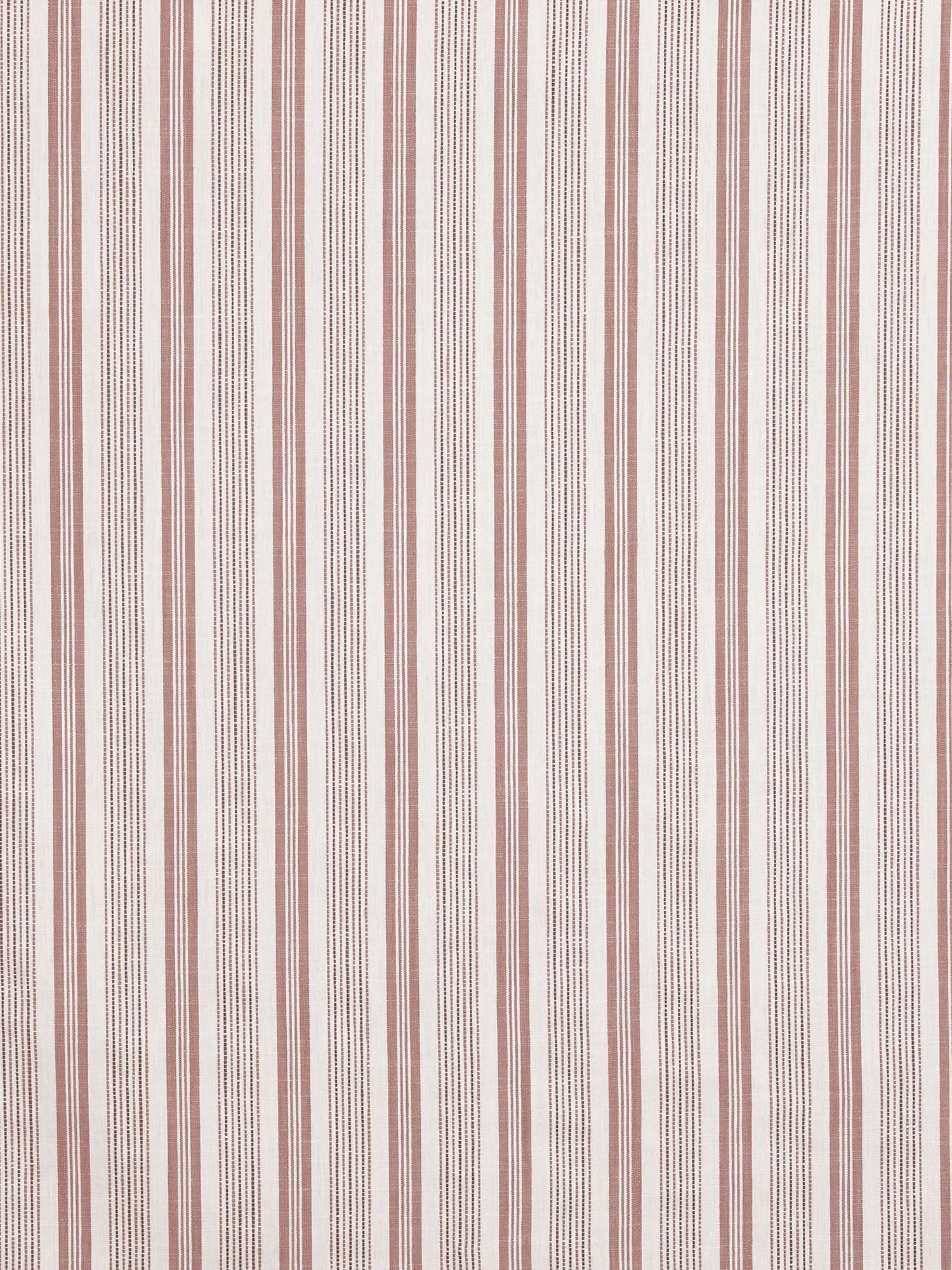 Apricot  - Out of stock