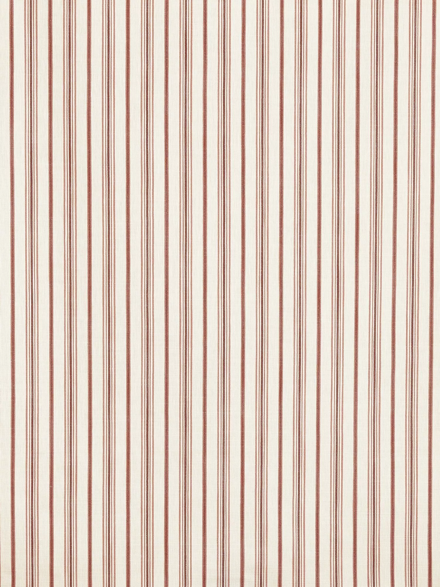 Apricot  - Out of stock