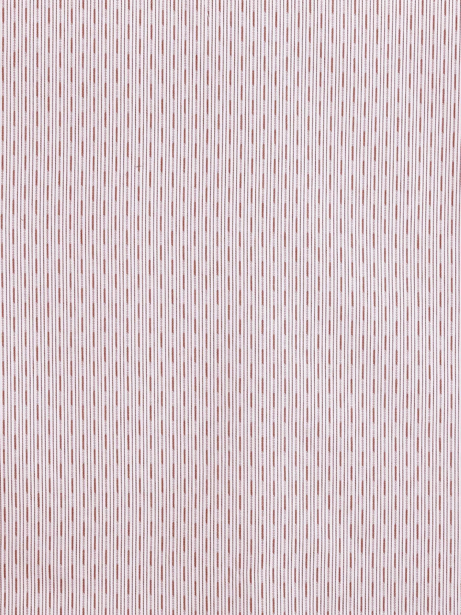 Apricot  - Out of stock