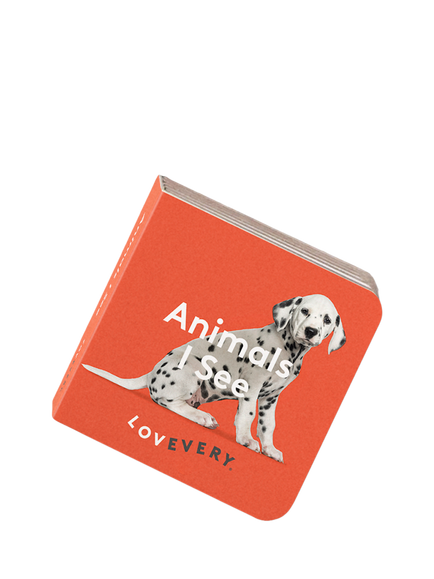 Lovevery The Thinker Play Kit - view 2, Multi