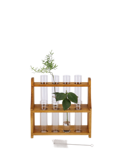 Fallen Fruits Large Pine Wood Test Tube Mini Plant Stand - view 2, Clear