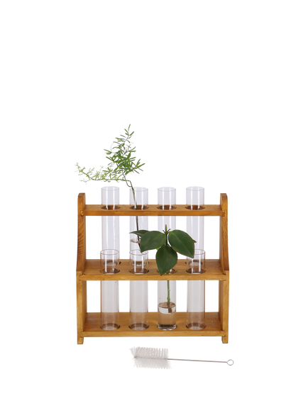 Fallen Fruits Large Pine Wood Test Tube Mini Plant Stand - view 2, Clear