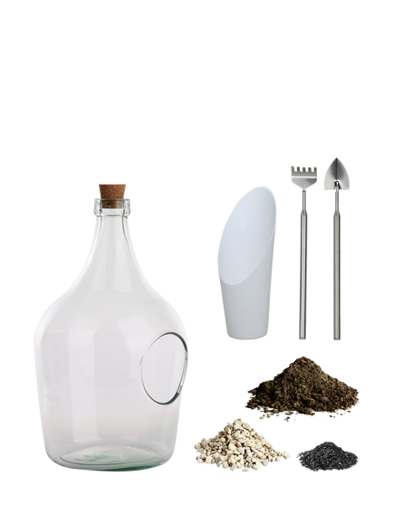 Fallen Fruits DIY Bottle Glass Plant Terrarium Set, 3L, Clear