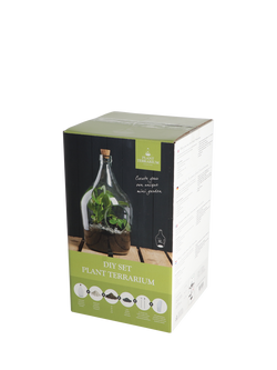Fallen Fruits DIY Bottle Glass Plant Terrarium Set, 3L - view 2, Clear