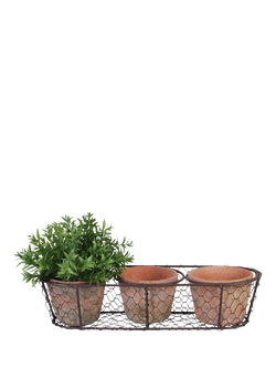 Fallen Fruits 3 Terracotta Plant Pots in a Wire Basket, Natural
