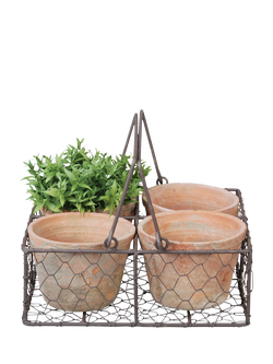 Fallen Fruits 4 Terracotta Plant Pots in a Wire Basket, Natural