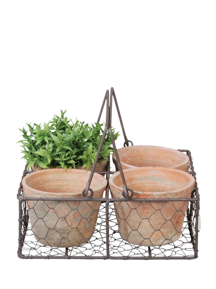 Fallen Fruits 4 Terracotta Plant Pots in a Wire Basket, Natural
