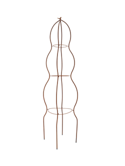 Fallen Fruits Metal Round Plant Support, Rust, Rust