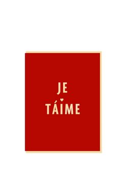 Nineteen Seventy Three Je T'Aime Valentine's Day Card, Multi