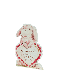 Sophie Amelia Creates Valentine Bunny Valentine's Day Card, Multi