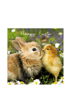 Woodmansterne Rabbit With Chick Easter Card, Multi