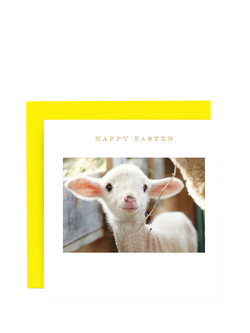 Susan O'Hanlon Smiling Lamb Easter Card, Multi