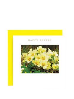 Susan O'Hanlon Primroses Easter Card, Multi