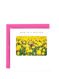 Susan O'Hanlon Yellow Tulips With One Red Mother's Day Card, Multi