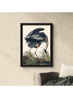 John Lewis John James Audubon 'Great Blue Heron' Framed Print, 77 x 57cm - view 2, Multi