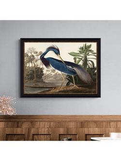 John Lewis John James Audubon 'Louisiana Heron' Framed Print, 57 x 77cm - view 2, Multi