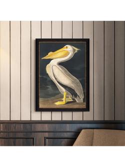 John Lewis John James Audubon 'White Pelican' Framed Print, 77 x 57cm - view 2, Multi