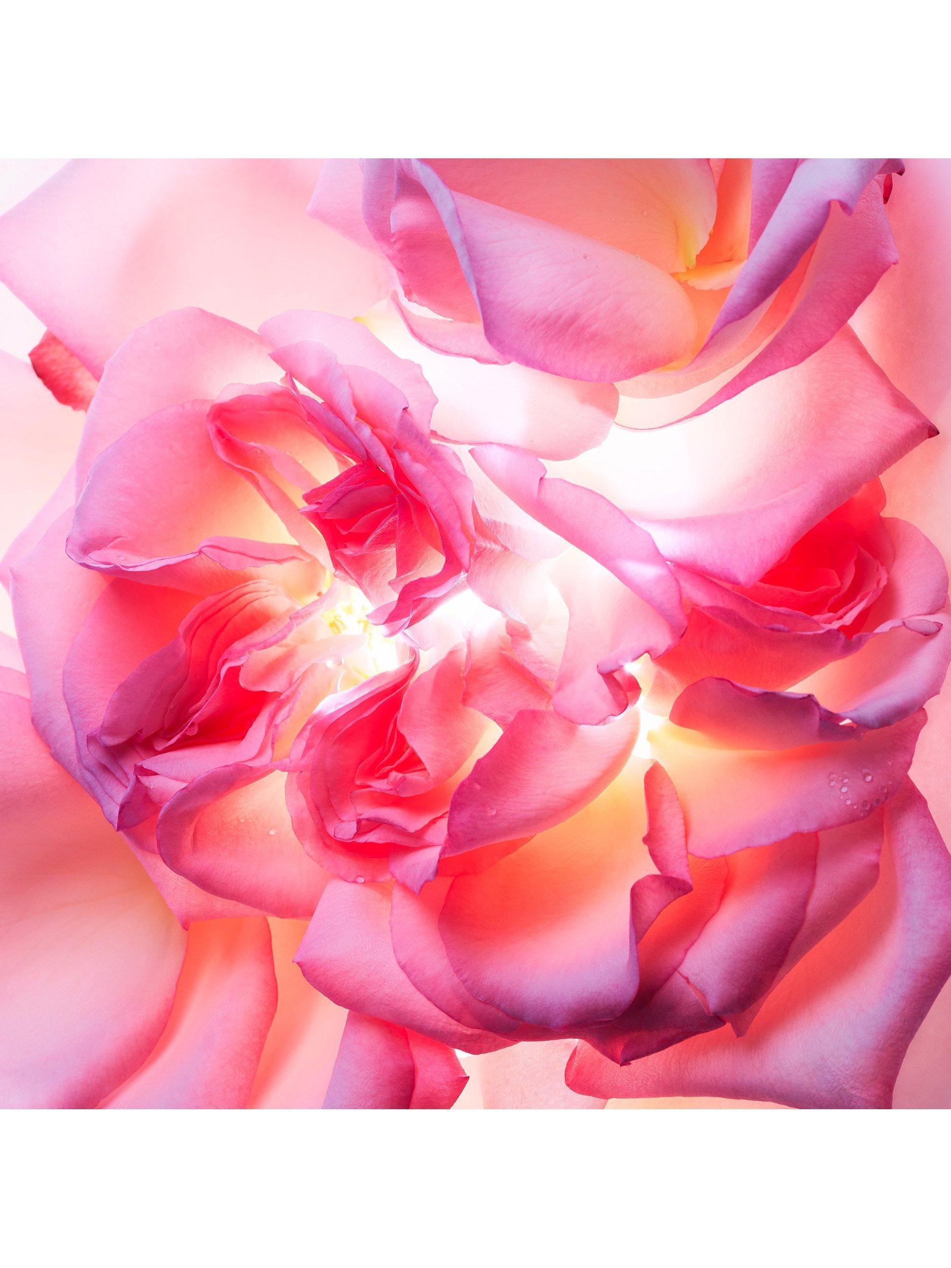 Product image 2 of 4, which shows BVLGARI Allegra Magnifying Rose Essence Eau de Parfum, 40m