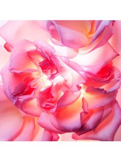 BVLGARI Allegra Magnifying Rose Essence Eau de Parfum, 40m - view 2, 