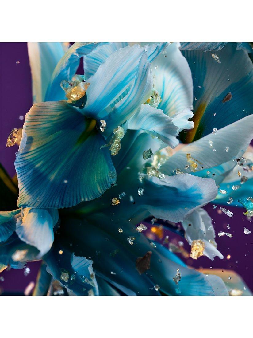 Product image 2 of 4, which shows BVLGARI Allegra Spettacolore Eau de Parfum, 50ml