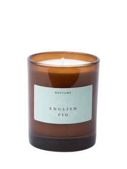 Neptune English Fig Scented Candle, 560g, Multi