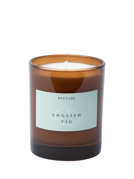 Neptune English Fig Scented Candle, 560g, Multi