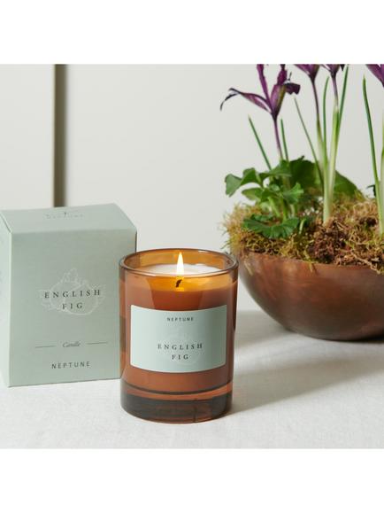 Neptune English Fig Scented Candle, 560g - view 2, Multi