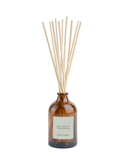 Neptune Sea Salt and Driftwood Reed Diffuser, 100 ml, Multi