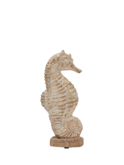 Neptune Gosse Small Ornamental Terracotta Seahorse, Natural, Natural Terracotta