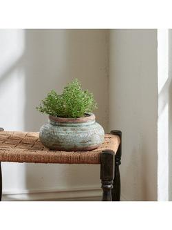 Neptune Broseley Low Indoor/Outdoor Earthenware Plant Pot, 21.5cm, Moss - view 2, Moss