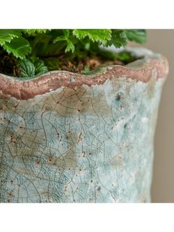 Neptune Broseley Small Indoor/Outdoor Plant Pot, 18cm, Moss - view 2, Moss