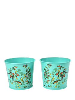 Burgon & Ball RHS Flora & Fauna Herb Pots, Set of 2, Green/Multi, Multi