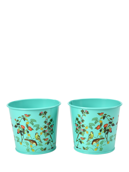 Burgon & Ball RHS Flora & Fauna Herb Pots, Set of 2, Green/Multi, Multi