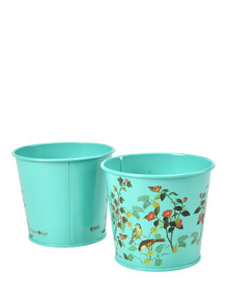 Burgon & Ball RHS Flora & Fauna Herb Pots, Set of 2, Green/Multi - view 2, Multi