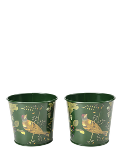 Burgon & Ball RHS Woodland Wonders Herb Pots, Set of 2, Green/Multi, Multi