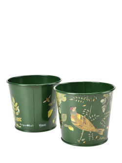 Burgon & Ball RHS Woodland Wonders Herb Pots, Set of 2, Green/Multi - view 2, Multi